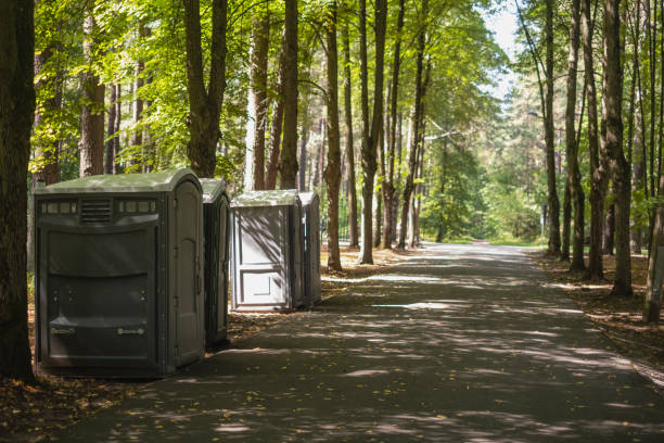 Best Sanitation services for porta potties  in Pine City, MN